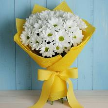 Букет цветов из:  Хризантемы в Ивангороде