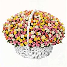 Премиум букет из: Розы в Ивангороде