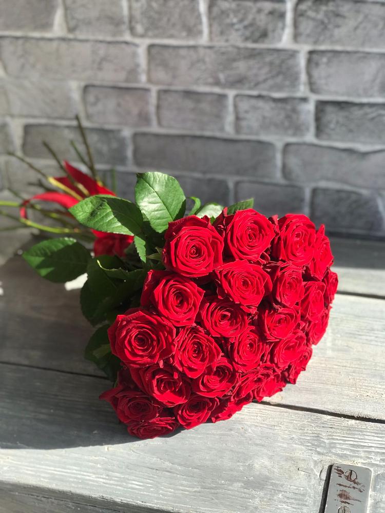 Букет Красные розы Фридом в Ивангороде