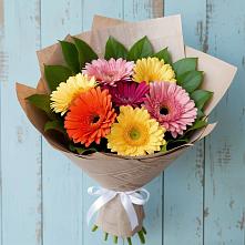 Букет цветов из:  Герберы в Ивангороде