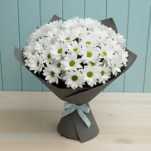 Букет цветов из:  Хризантемы #REPLACE_PRED# Ивангороде