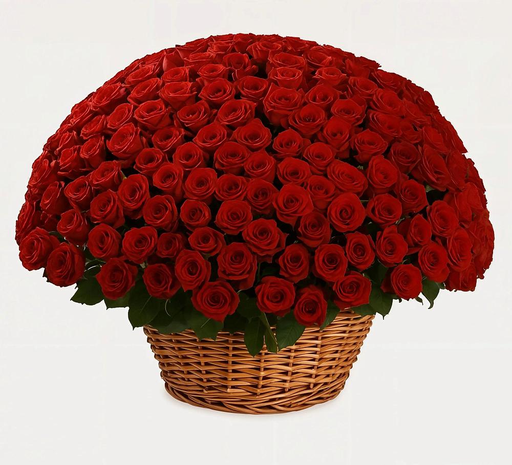 Премиум букет из: Розы в Ивангороде