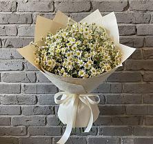 Букет цветов из:  Ромашки в Ивангороде