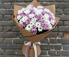 Букет цветов из:  Хризантемы #REPLACE_PRED# Ивангороде