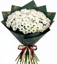 Букет цветов из:  Хризантемы в Ивангороде