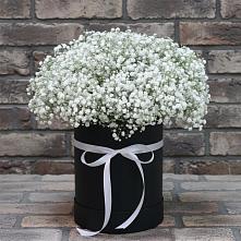 Цветочная композиция из Гипсофила в шляпной коробке в Ивангороде
