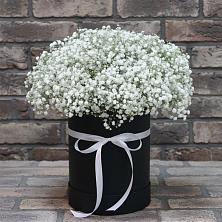 Цветочная композиция из Гипсофила в шляпной коробке в Ивангороде