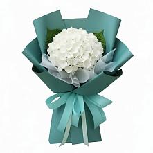 Букет цветов из:  Гортензия в Ивангороде